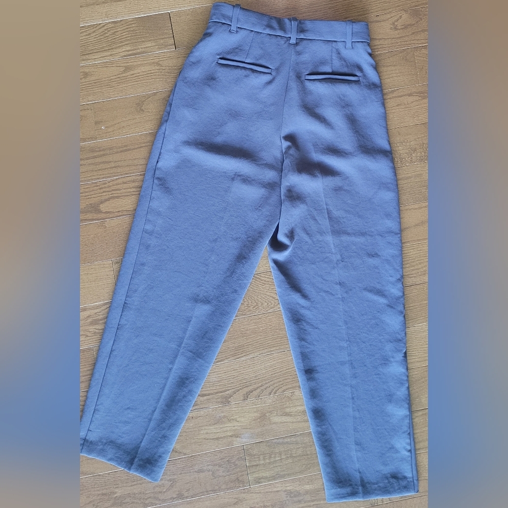 Aritzia Wilfred Soft Gray High-waisted, Pleated Trousers. - Picture 2 of 10